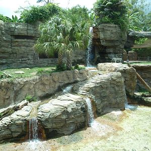 Jungala - Tiger Exhibit