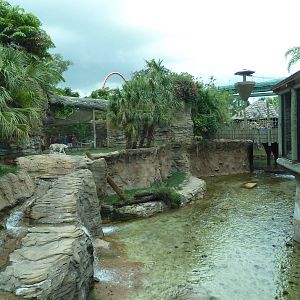 Jungala - Tiger Exhibit