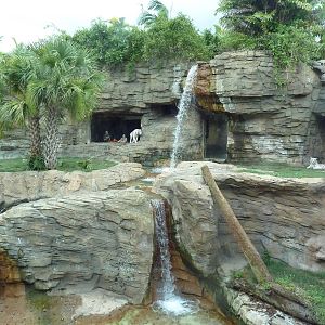 Jungala - Tiger Exhibit