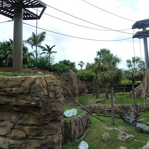 Jungala - Orangutan Exhibit