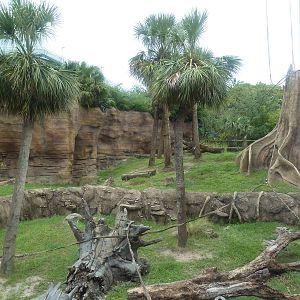 Jungala - Orangutan Exhibit