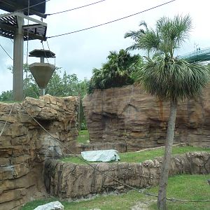 Jungala - Orangutan Exhibit