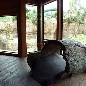Jungala - Orangutan Exhibit