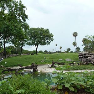 65-Acre Serengeti Plain