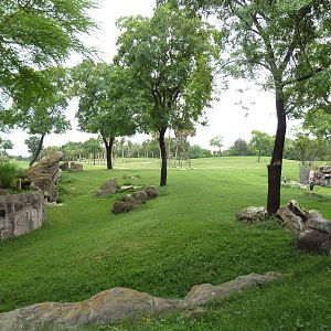 65-Acre Serengeti Plain