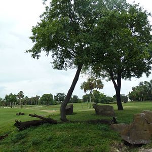 65-Acre Serengeti Plain