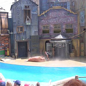 Cannery Row Caper with walrus