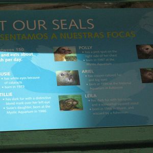 Seal Identification Sign