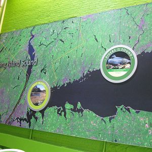 New Interactive Wall