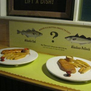 Go Fish!- What to Eat?