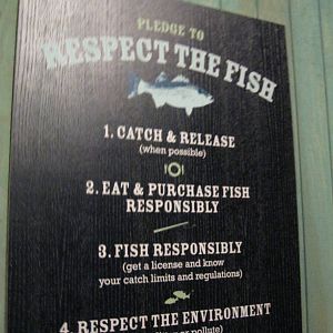 Go Fish- Respect the Fish