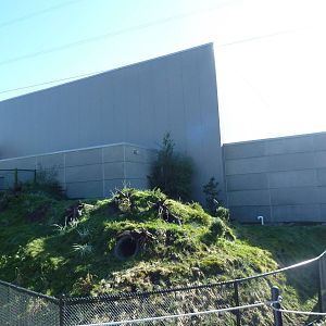 Penguin Plunge (New in 2012) - Humboldt Penguin Exhibit