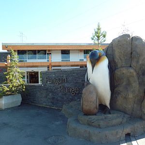 Penguin Plunge (New in 2012)