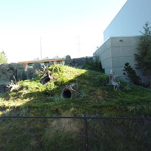 Penguin Plunge (New in 2012) - Humboldt Penguin Exhibit