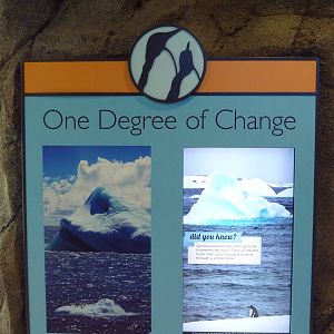 Penguin Plunge (New in 2012)