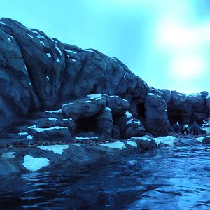 Penguin Plunge (New in 2012)