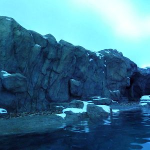 Penguin Plunge (New in 2012)