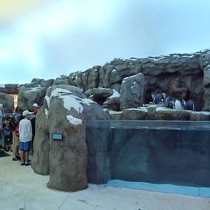 Penguin Plunge (New in 2012)