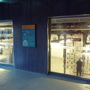 Penguin Plunge (New in 2012)