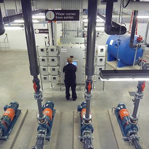 Penguin Plunge (New in 2012)