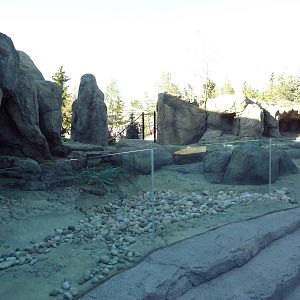 Penguin Plunge (New in 2012) - Humboldt Penguin Exhibit