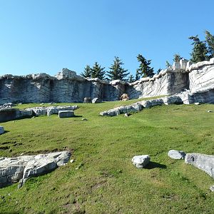 Canadian Wilds - Bighorn Sheep Exhibit