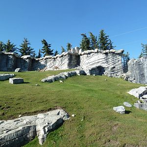 Canadian Wilds - Bighorn Sheep Exhibit