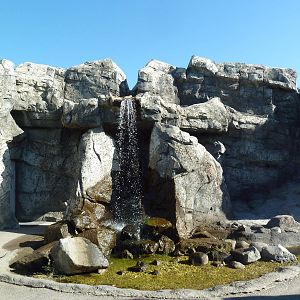 Canadian Wilds - Waterfall + Washrooms (behind the water!)