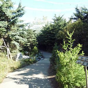 Canadian Wilds - Rocky Mountain Walk-Through Aviary