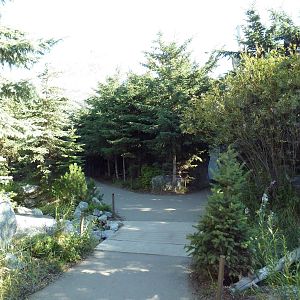 Canadian Wilds - Rocky Mountain Walk-Through Aviary