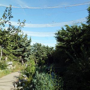 Canadian Wilds - Rocky Mountain Walk-Through Aviary