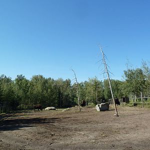 Canadian Wilds - Bison Exhibit