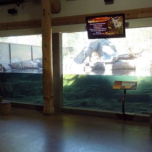 Canadian Wilds - Cequel Energy Lodge - River Otter Exhibit