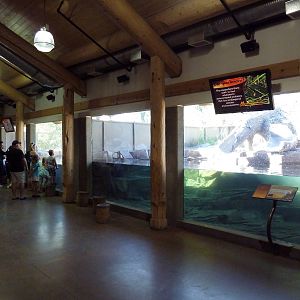 Canadian Wilds - Cequel Energy Lodge - River Otter Exhibit