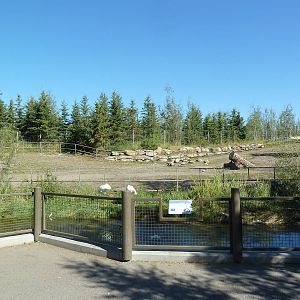 Canadian Wilds - Whooping Crane + Bison Exhibits