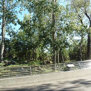 Canadian Wilds - Grey Wolf Exhibit