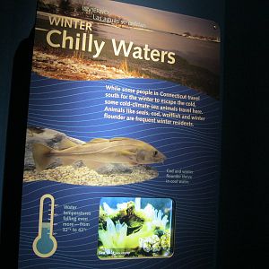 Seasons of the Sound- Winter Signage