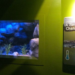 Seasons of the Sound- Spring