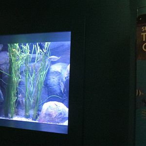 Seasons of the Sound- Summer