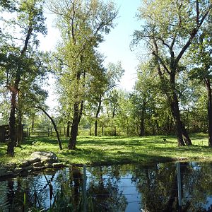 Canadian Wilds - Sandhill Crane/Wild Turkey Exhibit (ex-moose enclosure)