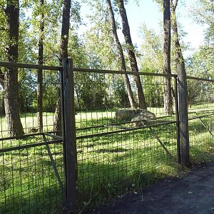 Canadian Wilds - Sandhill Crane/Wild Turkey Exhibit (ex-moose enclosure)