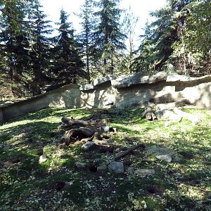 Canadian Wilds - Black-Tailed Prairie Dog Exhibit