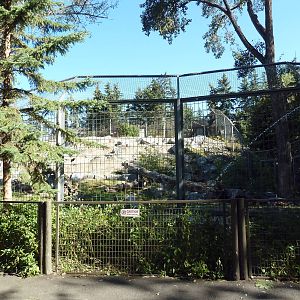 Canadian Wilds - Grizzly Bear Exhibit