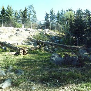 Canadian Wilds - Grizzly Bear Exhibit