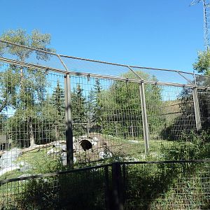 Canadian Wilds - Black Bear Exhibit