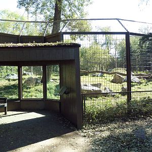 Canadian Wilds - Black Bear Exhibit