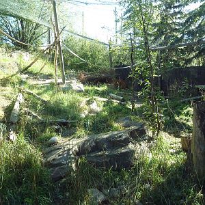 Canadian Wilds - Cougar Exhibit