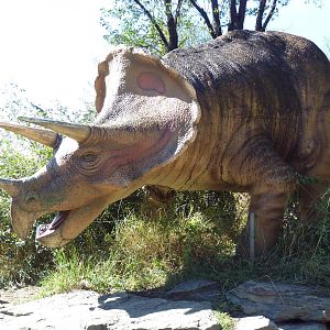 Prehistoric Park - Triceratops