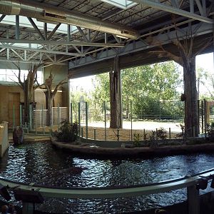 Destination Africa - Nile Hippo + Giraffe Exhibits