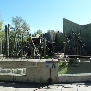 White-Handed Gibbon/Japanese Serow Exhibit